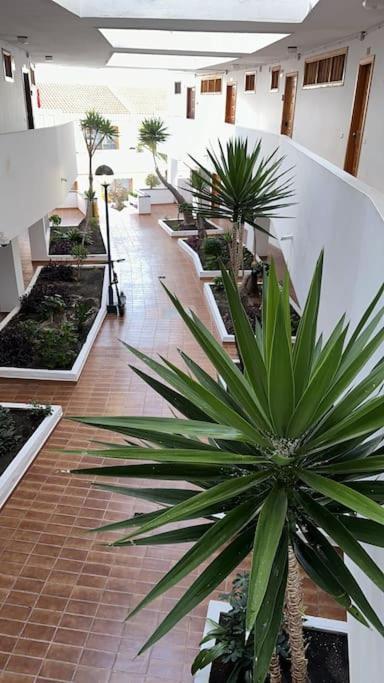 Ferienwohnung Modern,Strandnaehe, Club Olympus, Garten City Tenerife Playa Fanabe Exterior foto